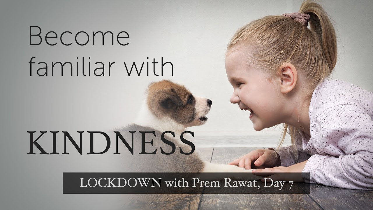 Isolamento com Prem Rawat —  Dia 7