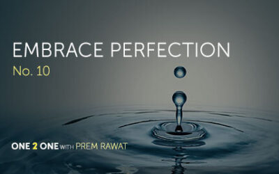 One 2 One, No. 10 – Embrace Perfection
