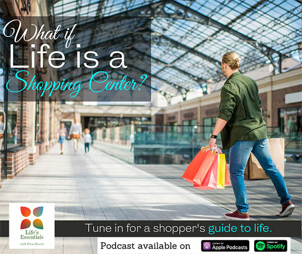 “Life’s Essentials with Prem Rawat” podcast series 2, episode 16 – Life’s Shopping Center